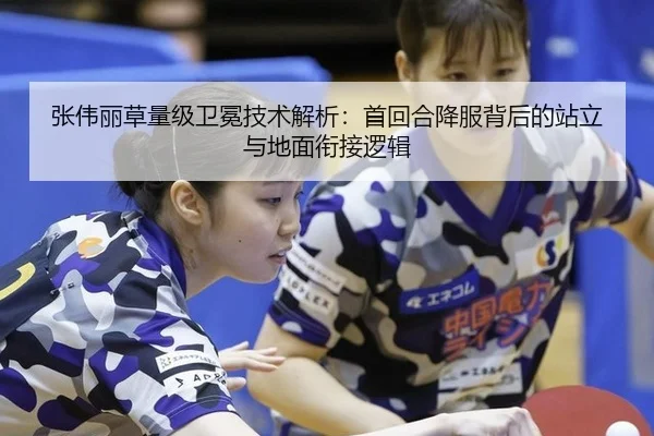 张伟丽草量级卫冕技术解析：首回合降服背后的站立与地面衔接逻辑